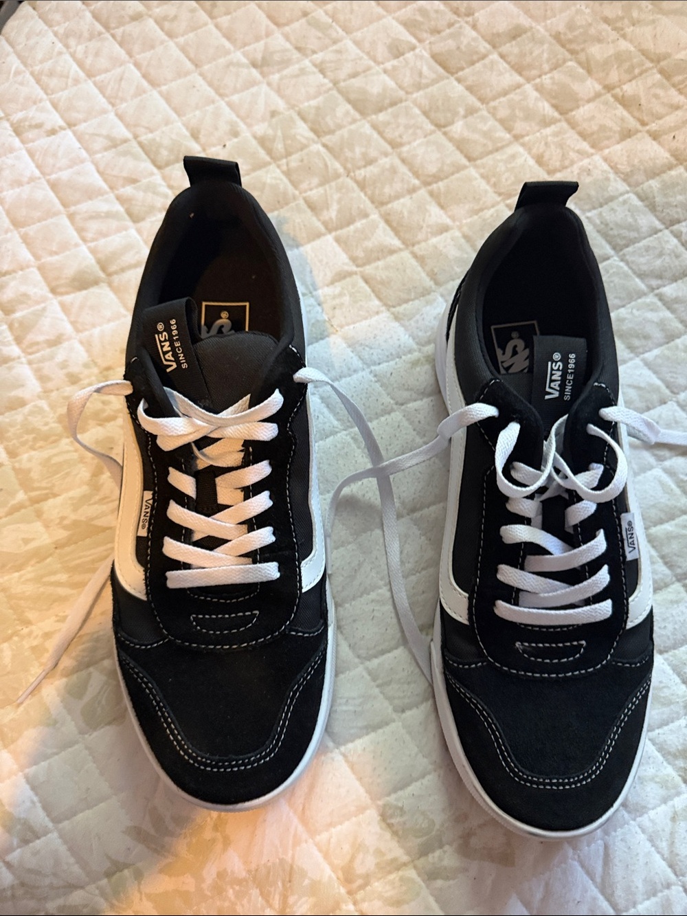 Vans Black and White Low-Top Skate Sneakers